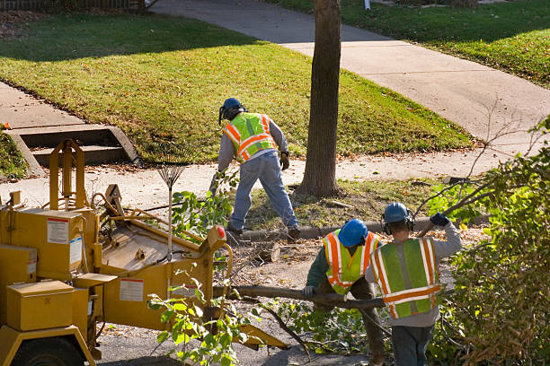 Best Lawn Grading and Leveling  in Garrison, TX